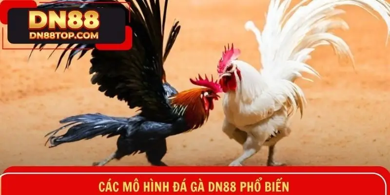 Tổng hợp các loại hình đá gà nổi tiếng được khách hàng ưa chuộng