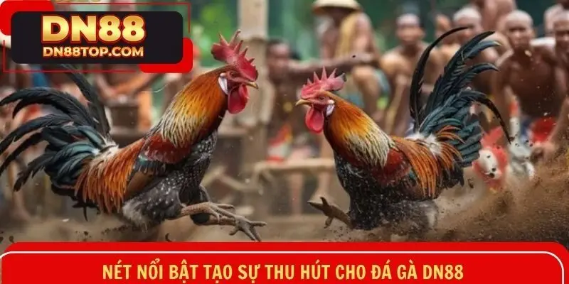 Đánh giá ưu điểm tạo nên sức cuốn hút và nổi bật của đá gà ở DN88