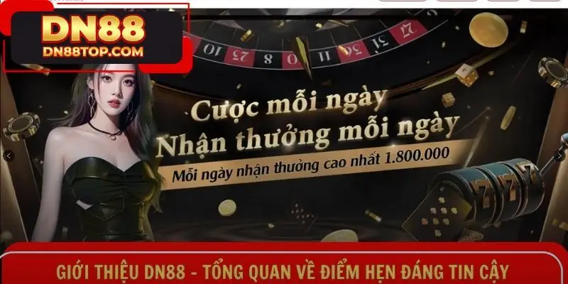 Giới Thiệu DN88 - Tổng Quan Về Điểm Hẹn Đáng Tin Cậy
