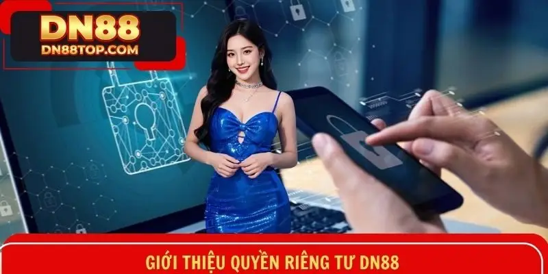 Tổng quan về chính sách nhà riêng tư của hệ thống DN88